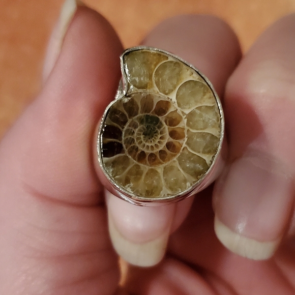 New Men's Ammolite 925 Silver Ring. - Picture 2 of 8